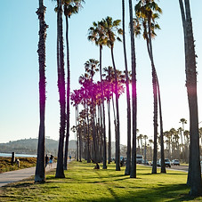 santa barbara home of curtis advisory group