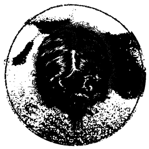 My Logo