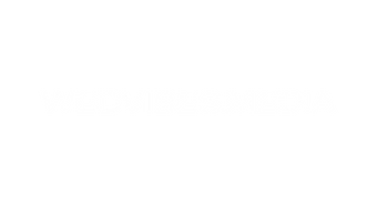 wedvibes.media-02.png