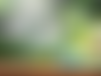 DIY Green Cleaning Kit: Your Guide to a Healthy San Diego Home 🌿🏡