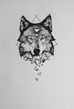 045c4de8f235d8d6c5169cbe03f0d3b3