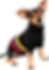 Sueter negro de mascota