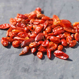 Chile Piquín