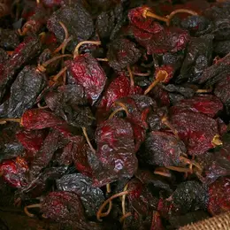Chile Ancho