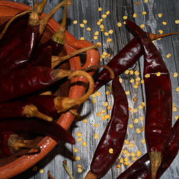 Puya chili