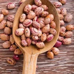 Pinto Beans
