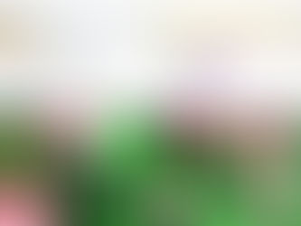 北斗星InvestGO重大更新：盡享兩大新功能！