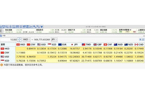 InvestGO使用小貼士：外匯報價及換算
