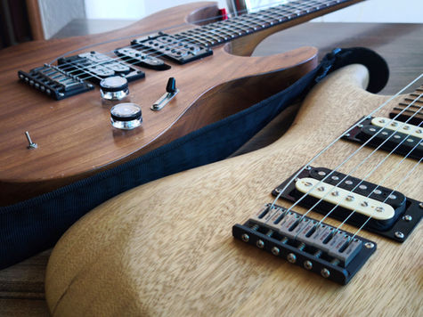 Hantug Titanium Guitar Hardware