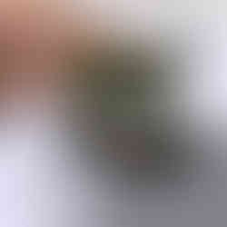 Whats inside of a Dimarzio Air Zone DP192