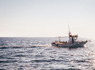 Commercial Hull Insurance