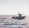 cap sur la pêche