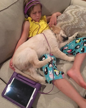 72005EF0-20CE-4EE4-9393-5499773498C7.jpe