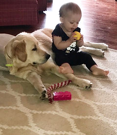 0FA4AC39-AC07-4E89-8F9D-25F8E753C3A9_edi