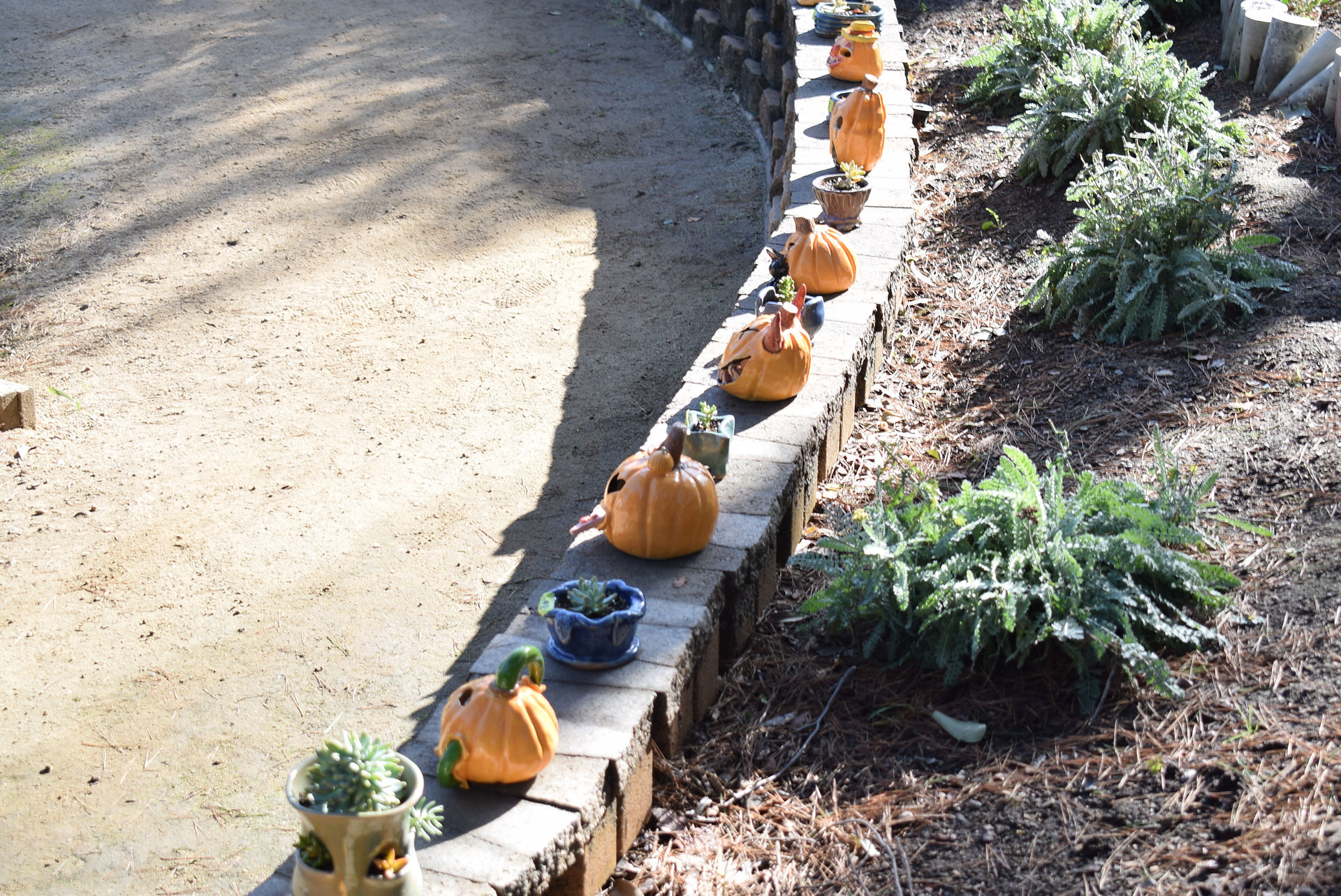 Pumpkin Ceramics
