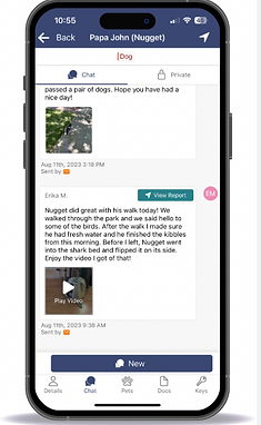 Screen Shot 2025-01-08 at 3.13.55 PM.png