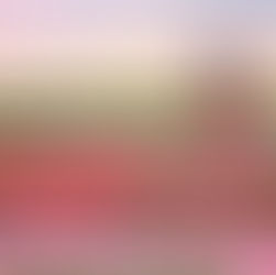 Los 6 jardines más bonitos del mundo