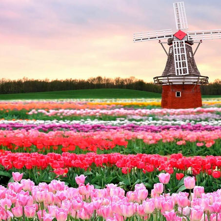 Los 6 jardines más bonitos del mundo