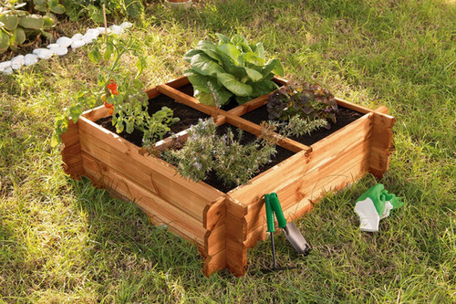 Huerto urbano | esarena