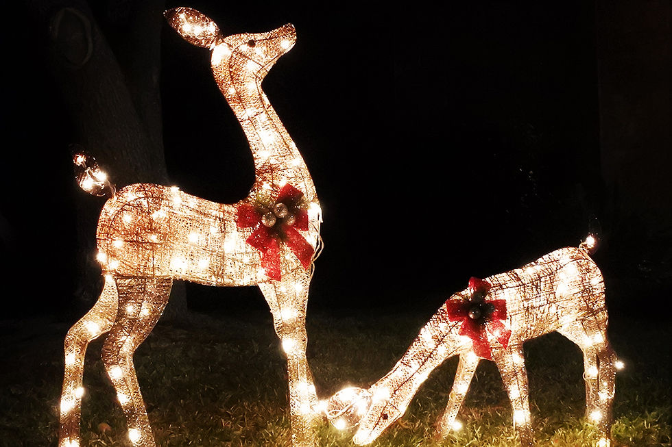 Decorar un jardín en Navidad con renos iluminados