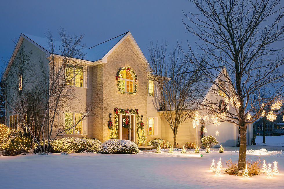 Decorar un jardín en Navidad