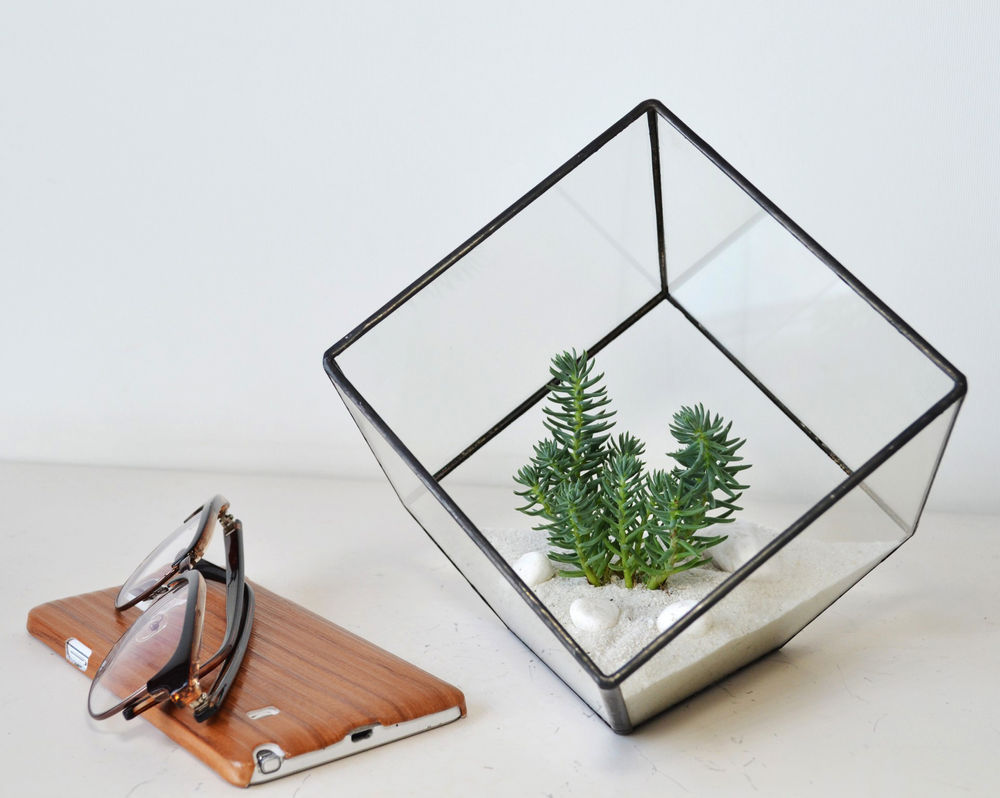 Ideas para la decoración de terrarios