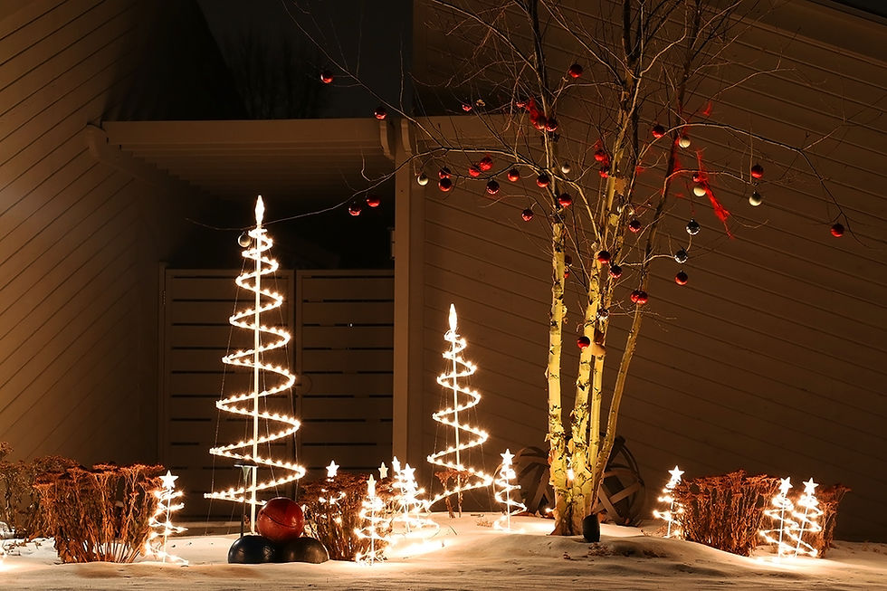 Decorar un jardín en Navidad con árboles de Navidad