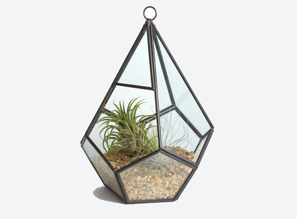 Ideas para la decoración de terrarios