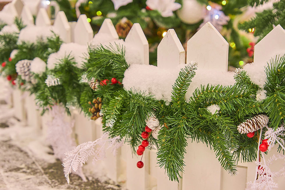 Decorar un jardín en Navidad con acebos