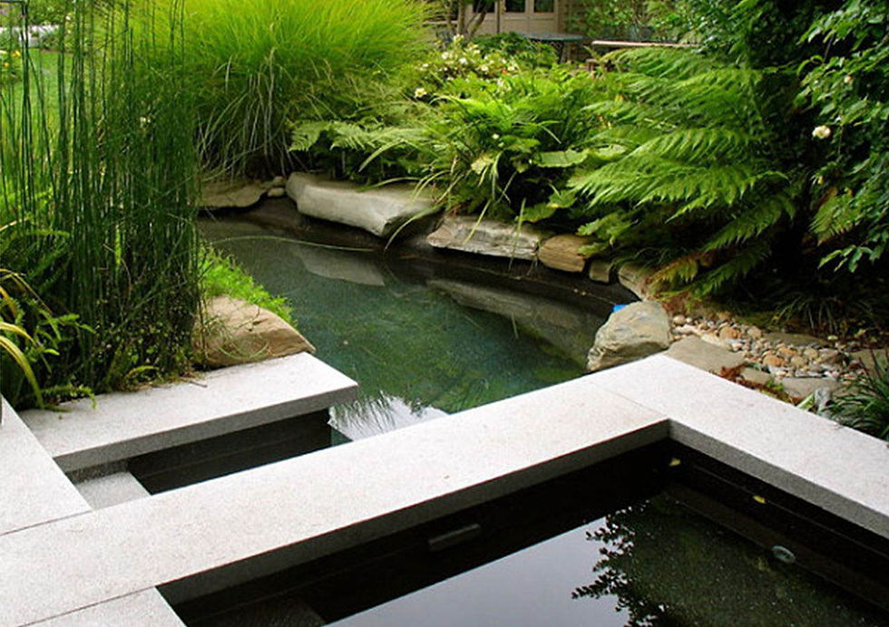 Jardines con estanques minimalistas