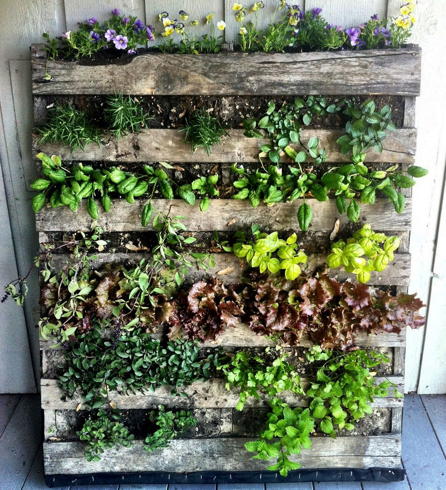 Ideas de decoración con palets: hacer un pequeño jardín o huerto urbano