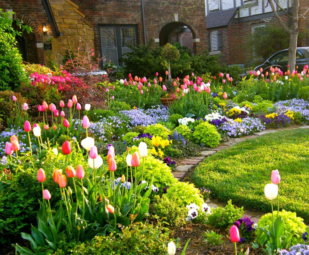 Ideas para iniciarte en el arte floral de jardín