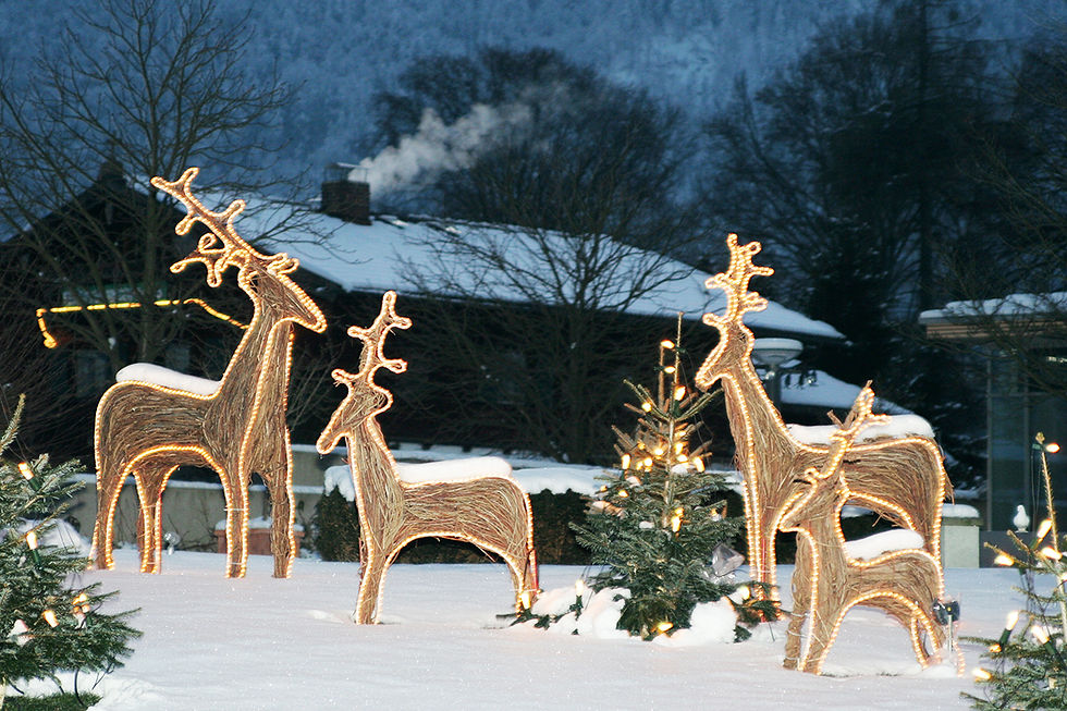 Decorar un jardín en Navidad con renos