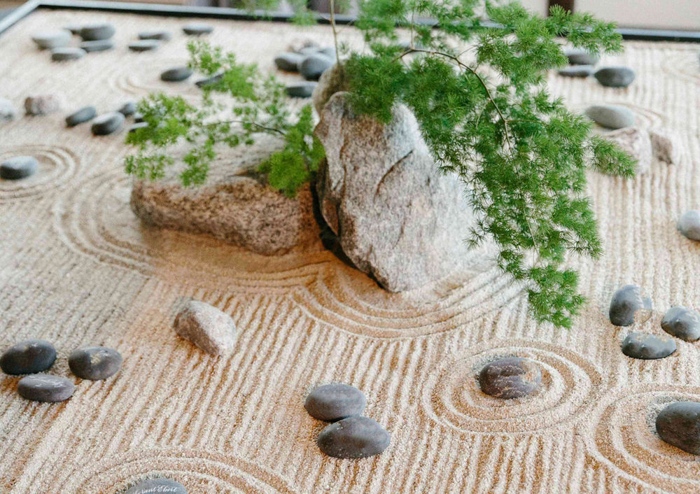 13 jardines zen en miniatura para hacer tú mismo