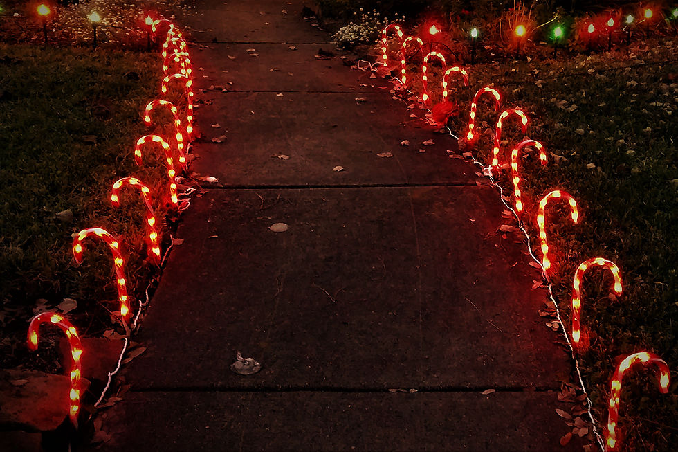 Decorar un jardín en Navidad con bastoncillos led