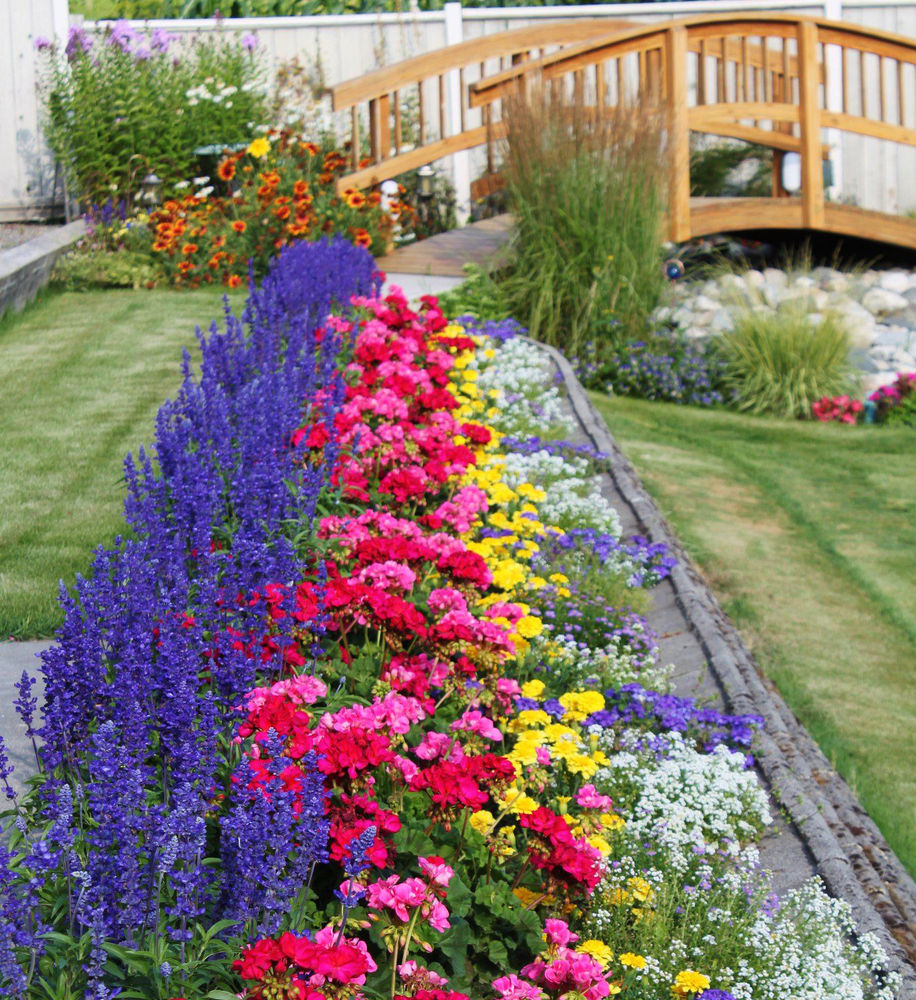 Ideas para iniciarte en el arte floral de jardín