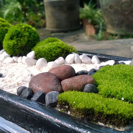 13 jardines zen en miniatura para hacer tú mismo