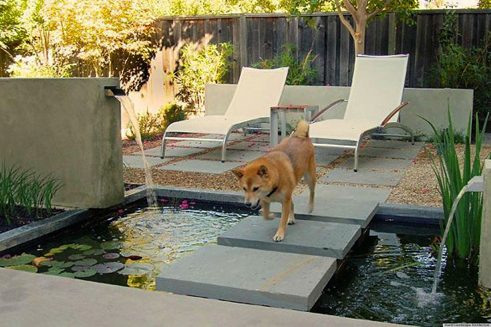 Jardines con estanques minimalistas