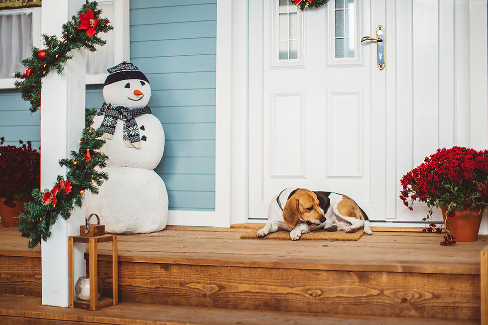 Decorar un jardín en Navidad con un muñeco de nieve