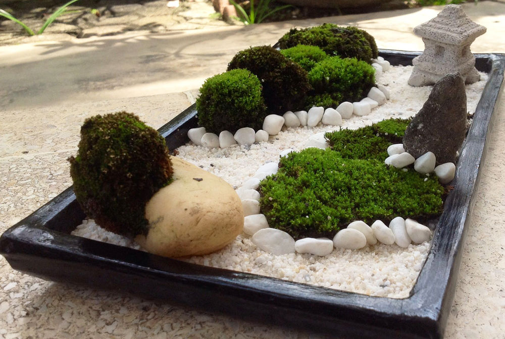 13 jardines zen en miniatura para hacer tú mismo