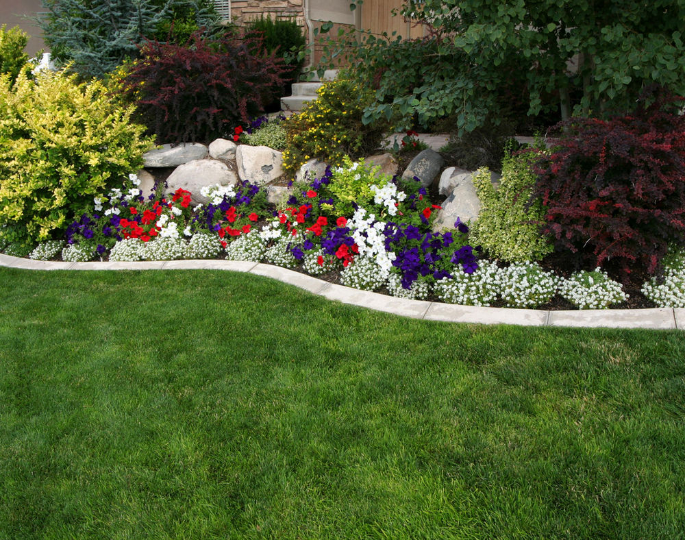 Ideas para iniciarte en el arte floral de jardín