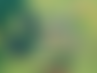 Vanilla or Modded Valheim? Unraveling the Endless Debate