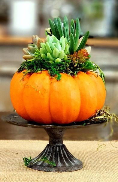 orange pumpkin small on pedestal.jpeg
