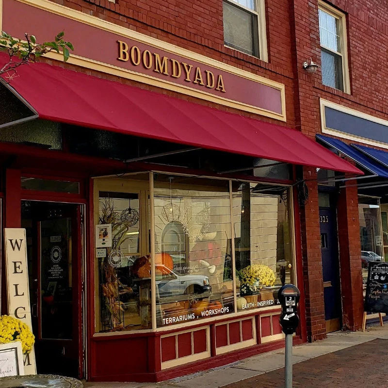 Thumbnail: Boomdyada Gift Certificate (for storefront location)