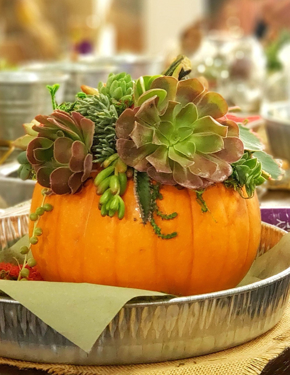 Thumbnail: Succulent cuttings, 1 dozen in Flowered mailer gift box.