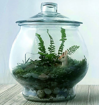 Terrarium Workshop tall_1_edited.jpg