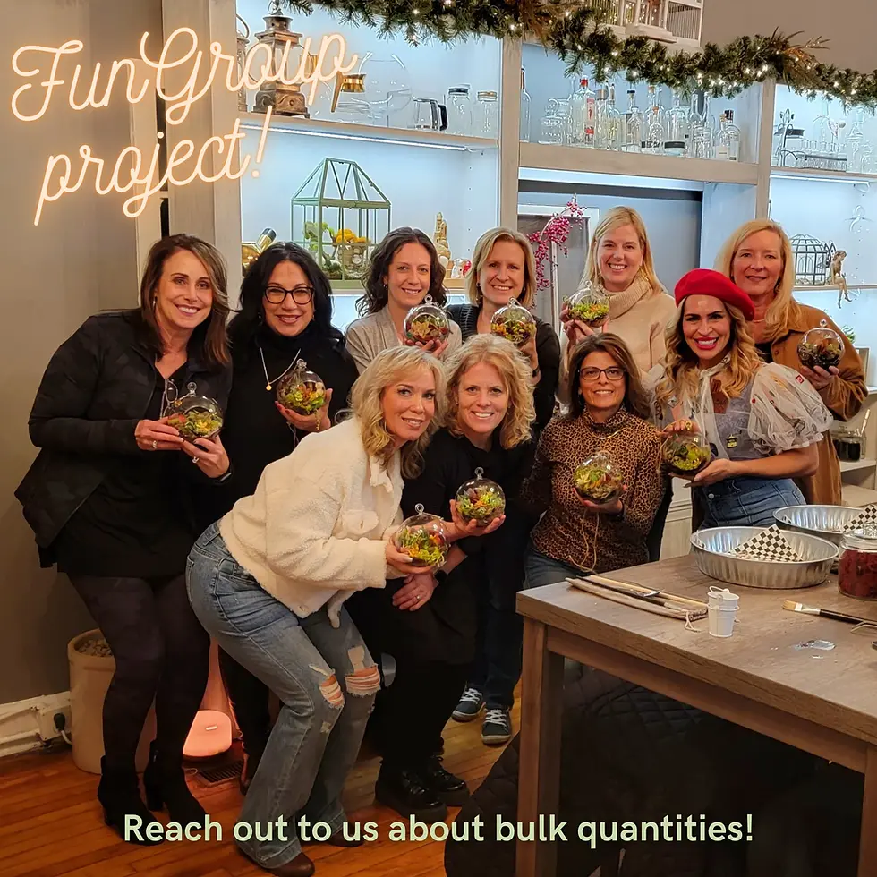 Thumbnail: DIY terrarium kit with crystal geode, 6" hanging glass globe with live succulent