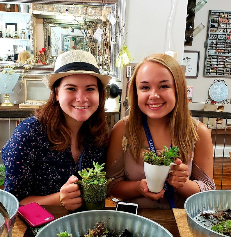 Thumbnail: DIY Succulent terrarium kit for succulents in books or cups