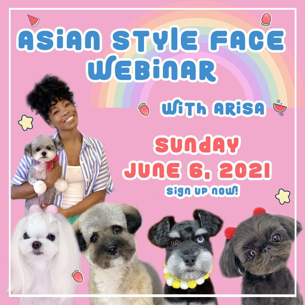 VOL 1 - All About The Face Webinar Recording by Arisa