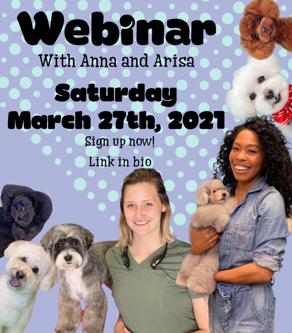 Dog Grooming Los Angeles Blue Pooch United States